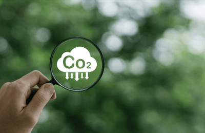 The Role of Wind Energy in Achieving Carbon Neutrality