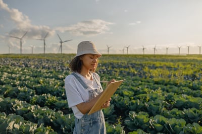 Sustainability & Wind Energy: strategies and future outlook